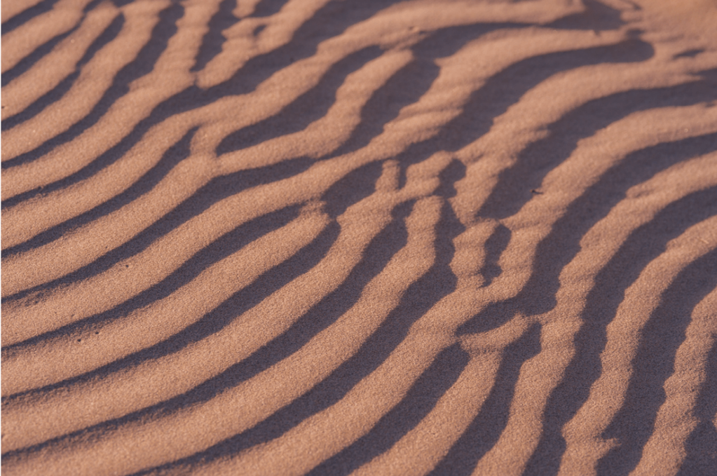 Counting care workers: when the ‘muddle’ is the message